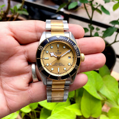 Tudor - Black Bay Gold & Silver