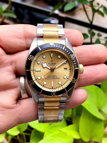 Tudor - Black Bay Gold & Silver