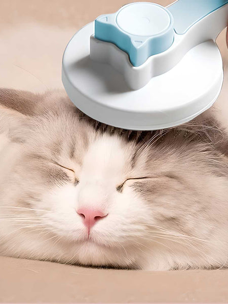 Pet Hair Removal Brush