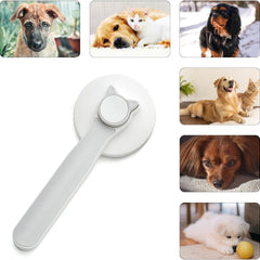 Pet Hair Removal Brush