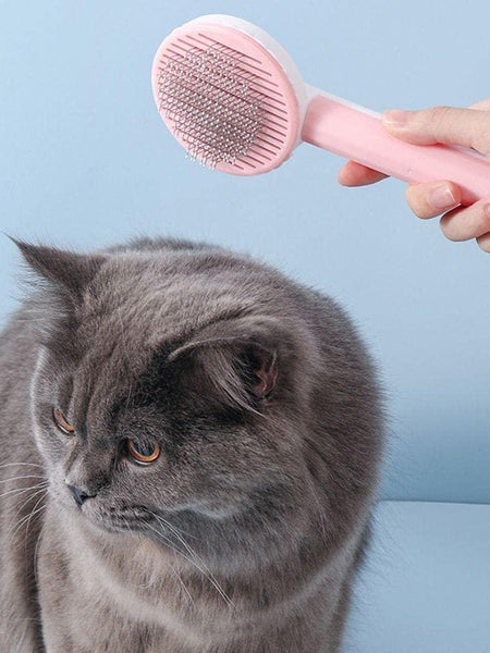 Pet Hair Removal Brush