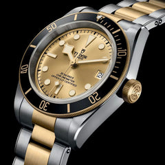Tudor - Black Bay Gold & Silver