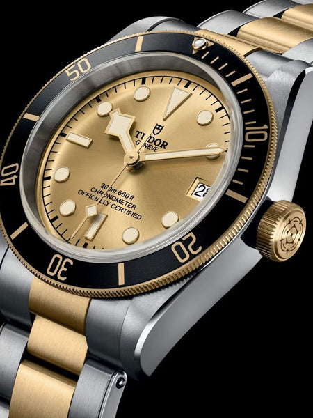 Tudor - Black Bay Gold & Silver