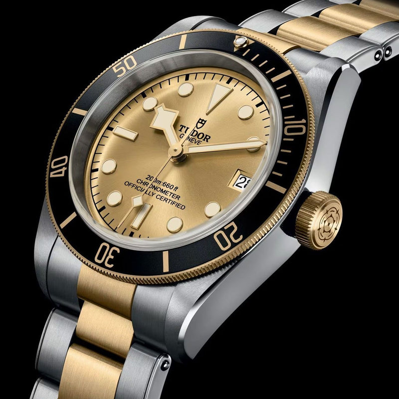 Tudor - Black Bay Gold & Silver
