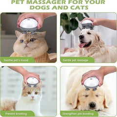 Premium Scalp Massager