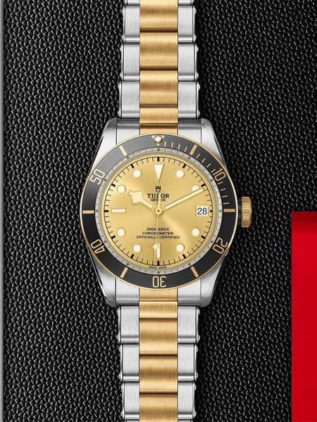 Tudor - Black Bay Gold & Silver