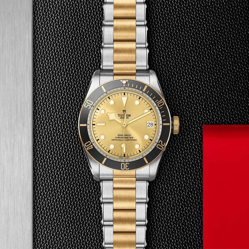 Tudor - Black Bay Gold & Silver