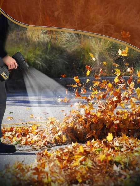 Leaf Blower – 21V Power
