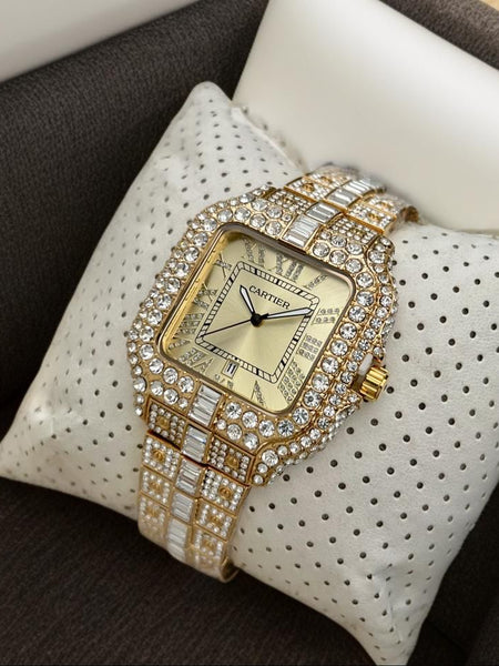 Luxurious Santos de Cart°ier Timepiece