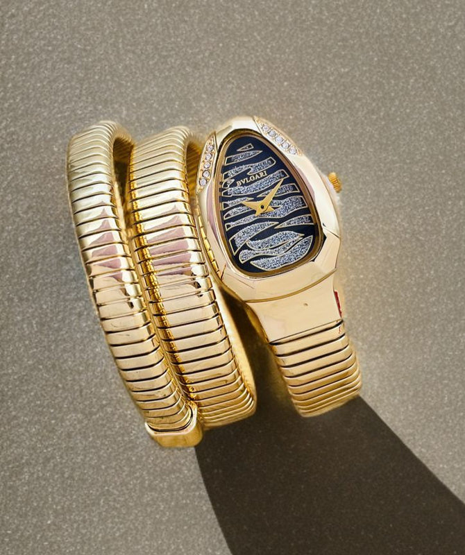 BVL.GARI snake